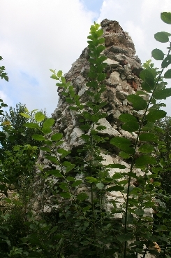 Bochotnica - zamek