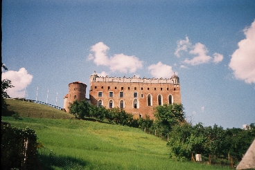 Golub-Dobrzy - Zamek