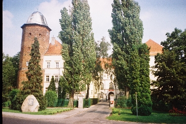 Komin Wielkopolski - Zamek