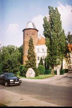 Komin Wielkopolski - Zamek