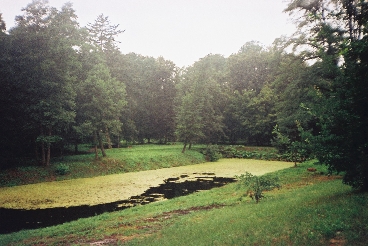 Opatwek - park u stp Wzgrza Zamkowego