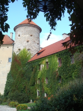Pieskowa Skaa - Zamek