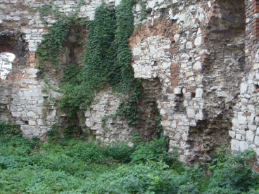 Tenczyn - Zamek