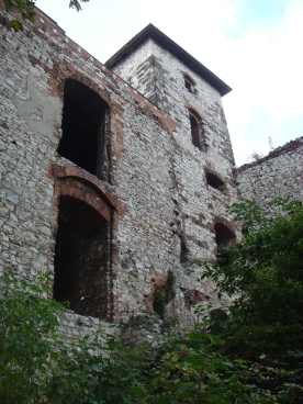 Tenczyn - Zamek