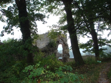 Tenczyn - Zamek