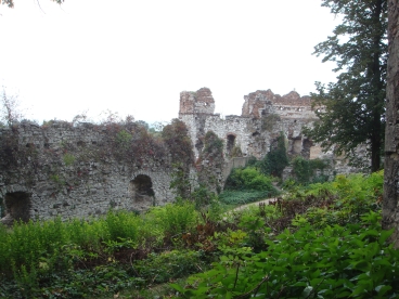 Tenczyn - Zamek