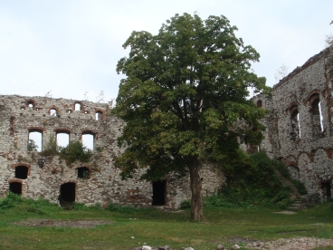 Tenczyn - Zamek