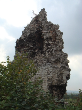 Tenczyn - Zamek