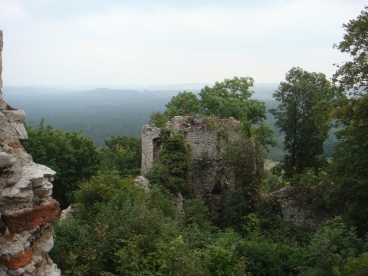 Tenczyn - Zamek