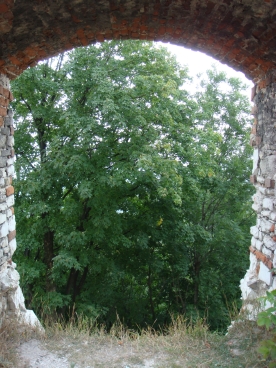 Tenczyn - Zamek