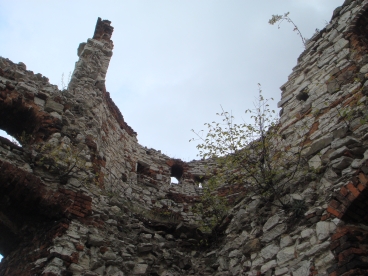 Tenczyn - Zamek