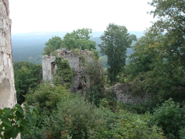 Tenczyn - Zamek