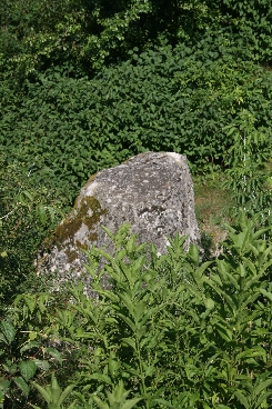 Tudorw - wiea